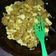 Cooksnap dari shantynira untuk resep Cimin Bandung (#bandung_recookOchiRosi)
