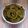 Dr. Pushpa Dixit's cooksnap of when they made પાલક ચીઝ-બટર ચકરી (Spinach Cheese Butter Chakri Recipe In Gujarati).
