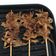 Cooksnap dari sugarpop untuk resep Sate Jamur Tiram🍄
