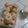 Cooksnap dari azizah untuk resep Kue Putri Ayu