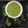 Deepali dake Kulkarni's cooksnap of when they made लसूण पातीची चटणी(Lasun Patichi Chutney Recipe In Marathi).