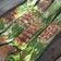 Cooksnap dari fifinevelyn untuk resep Pepes ikan teri medan bumbu plecing