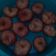 Cooksnap dari chacha untuk resep Donat tanpa telur