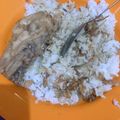Cooksnap dari cicih indah mawarni untuk resep Opor Ayam Bumbu Instant Indofood
