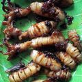 Cooksnap dari Dina Nugroho untuk resep Cumi bakar teflon