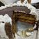 Cooksnap dari Elisha Kwok untuk resep Opera cake