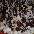 El cooksnap de Agustina Matis cuando hizo Pochoclos de chocolate 🍫.