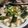 Cooksnap dari Garnis untuk resep Miso Soup