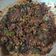 mitu madlani's cooksnap of when they made ભીંડા નું શાક (Bhinda Shak Recipe In Gujarati).