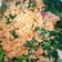 Cooksnap dari Juniar Dwi Nestiti untuk resep Sambal (Bumbu) Urap