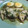 El cooksnap de Rafel Curto cuando hizo Merluza a la vasca con espárragos.