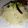 Arpita Biswas's cooksnap of when they made মাইক্রোওয়েভ জিরা রাইস (microwave jeera rice recipe in Bengali).