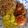 Cooksnap dari Andien Bantam untuk resep Nasi kuning ambon - the series - nasi kuning