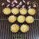 Cooksnap dari Dapur ELVA untuk resep Muffin Keju JTT