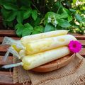 Cooksnap dari Mama Nia untuk resep Es Lilin Nanas