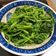 Shinchen Chen 的 蒜炒莧菜 cooksnap