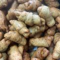 صورة من 𓄂Mahosh𓆃، شاركها بعد تجربة وصفة معجنات الزعتر بالجبنه المقليه