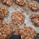 El cooksnap de Valu Venega cuando hizo Galletas de chocolate y avena.