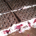 Lori's cooksnap of when they made Icebox Smores.