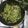 Cooksnap dari Nieda Abdat untuk resep Spaghetti Carbonara with Spinach ala Clisselly