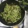 Cooksnap dari Nieda Abdat untuk resep Spaghetti Carbonara with Spinach ala Clisselly