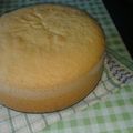 El cooksnap de Elsa Irene Fleitas cuando hizo Bizcochuelo.