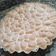 El cooksnap de Day cuando hizo Lemon pie !!.