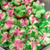 Cooksnap dari Dinie untuk resep Bolu kukus semangka anti gagal (bolu sprite)