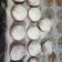 El cooksnap de Marion Magro cuando hizo Alfajores Oreo caseras bañadas en chocolate.