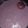 शशि केसरी's cooksnap of when they made Jamun smoothy.