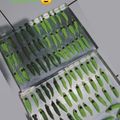 Cooksnap dari Amel Mellon untuk resep Caterpillar Cookies unyu