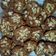 Cooksnap dari Nur Buana Pangastuti untuk resep Choco Banana Cookies
