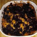QueenOfTheUnseelie's cooksnap of when they made Wild blackberry cobbler.