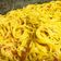 El cooksnap de Badmicaela cuando hizo Espaguetis carbonara.