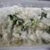 El cooksnap de Sandra Bartolomeo cuando hizo Pollo en crema con brócoli común o saludable 🥦.