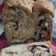 Cooksnap dari Magda untuk resep Roti cokelat keju ala rebread