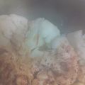 El cooksnap de Inma Gv cuando hizo Coliflor al Ajo arriero.