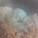 La cooksnap de Inma Gv cuando cocinó Coliflor al Ajo arriero