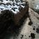 Cooksnap dari anisyahptr _ untuk resep Brownies Kukus Lumer