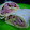 El cooksnap de Las Creaciones de María José cuando hizo Wraps de pavo y queso fresco.