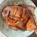 菜菜 的 年年有餘（香煎白鯧魚） cooksnap
