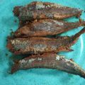 Cooksnap Jemilah Tukimin semasa beliau membuat Ikan Rebus Goreng Kelantan Darul Naim.