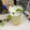 El cooksnap de felipe cuando hizo Mojito tradicional.
