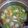 Cooksnap dari Yayah Zulfiah untuk resep Sup Sayuran Bakso Telur Puyuh