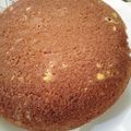 Elssie Bef's cooksnap of when they made Lemon cake.