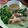รูป Cooksnap ของ มาดาม ดอกทอง เมื่อเขาทำ นึ่งไก่ สูตรอีสาน
