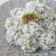 Cooksnap dari Monica Novara H. untuk resep Resep klepon ketan isi gula jawa empuk dan lembut