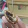 Cooksnap dari Boba Queen untuk resep Roti Goreng Coklat Endolita