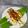 Cooksnap dari Dapur AmmaDisaa untuk resep Kembung Bakar Kecap
