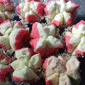 Cooksnap dari RizkyAmelia untuk resep Bolu kukus mekar